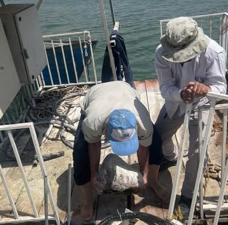 نصب چهار دستگاه حذف جلبک با تکنولوژی آلتراسونیک در دریاچه سد ماملو